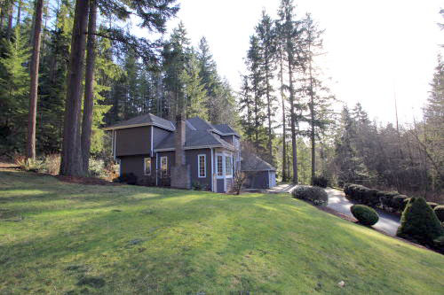 Lower level fireplace